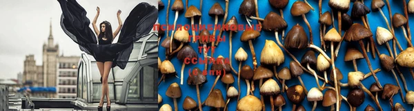 спайс Осинники