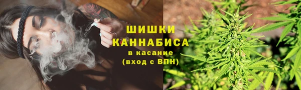 прущая мука Осташков