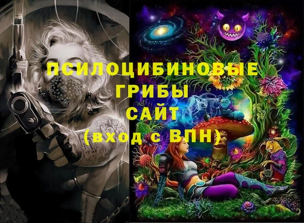 спайс Осинники