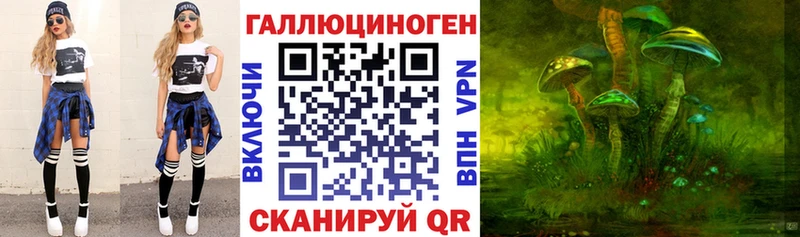 купить наркотик  Конаково  Псилоцибиновые грибы Psilocybine cubensis 