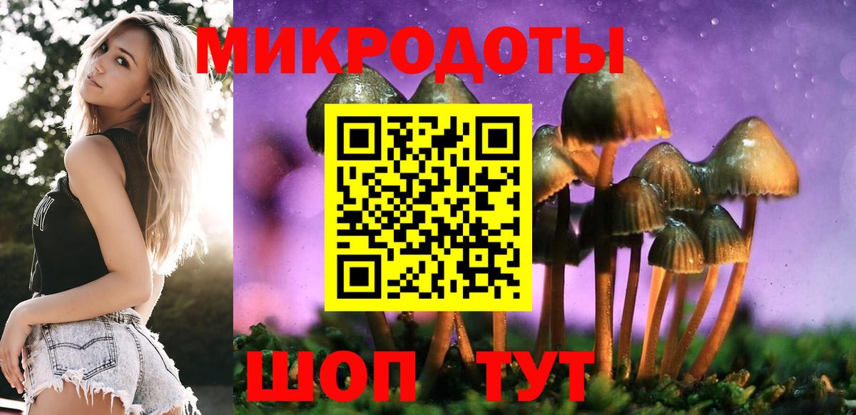Псилоцибиновые грибы Magic Shrooms  Псилоцибиновые грибы мицелий  Вход с VPN  Конаково 