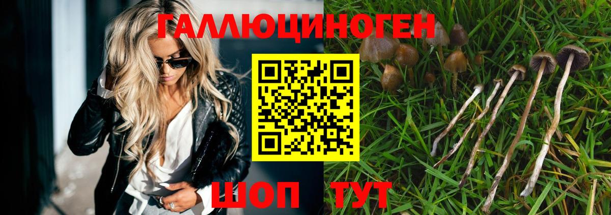 где можно купить наркотик  Конаково  Псилоцибиновые грибы Magic Shrooms 